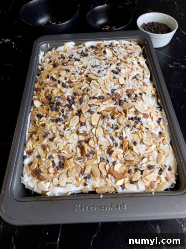 The Almond Joy cake with the shredded coconut, sliced almonds, and mini chocolate chips sprinkled over the top.