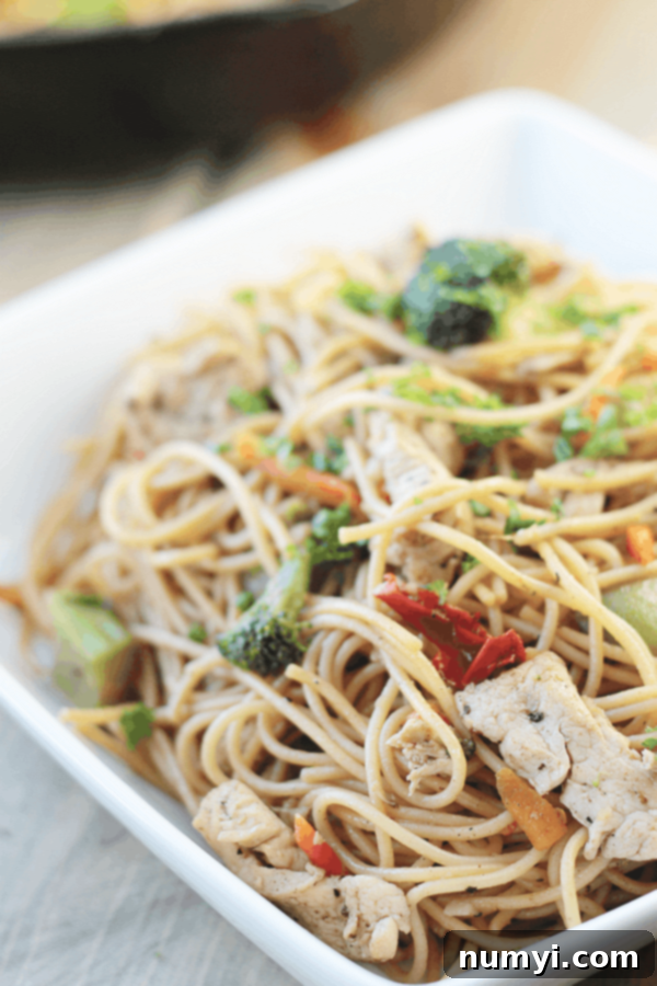 A white bowl full of chicken lo mein with vibrant vegetables and tender chicken pieces, ready to be enjoyed.