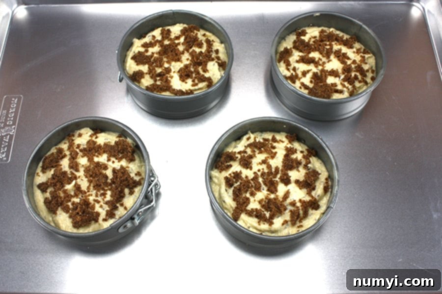 Instant Delight: Seed Cake for Spontaneous Gatherings 4 Seed Cake batter in small springform pans topped with brown sugar, ready for baking.