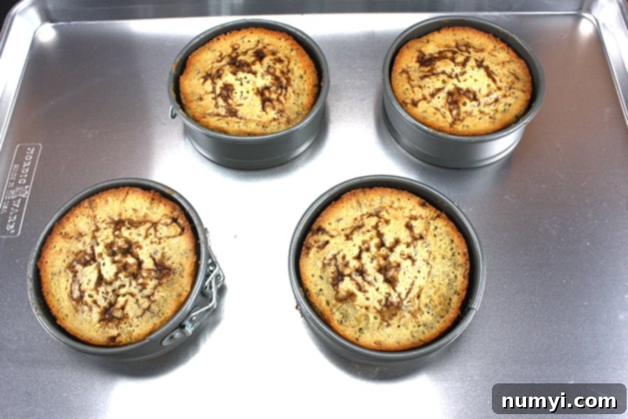 Instant Delight: Seed Cake for Spontaneous Gatherings 5 Freshly baked seed cakes cooling on a baking sheet, golden and fragrant.