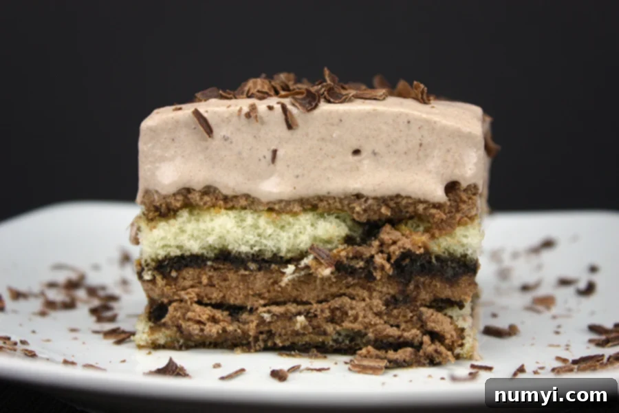 Chocolate Tiramisu on a white plate with a chocolate shaving garnish.