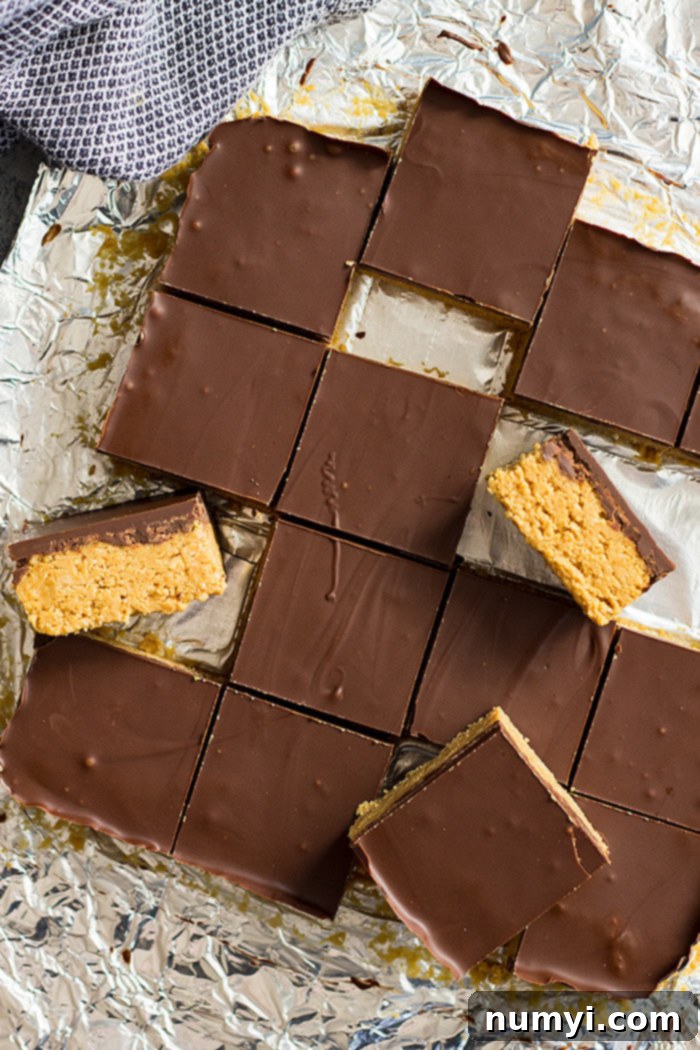 A top down view of no bake chocolate peanut butter bars with a few turned on their side. 