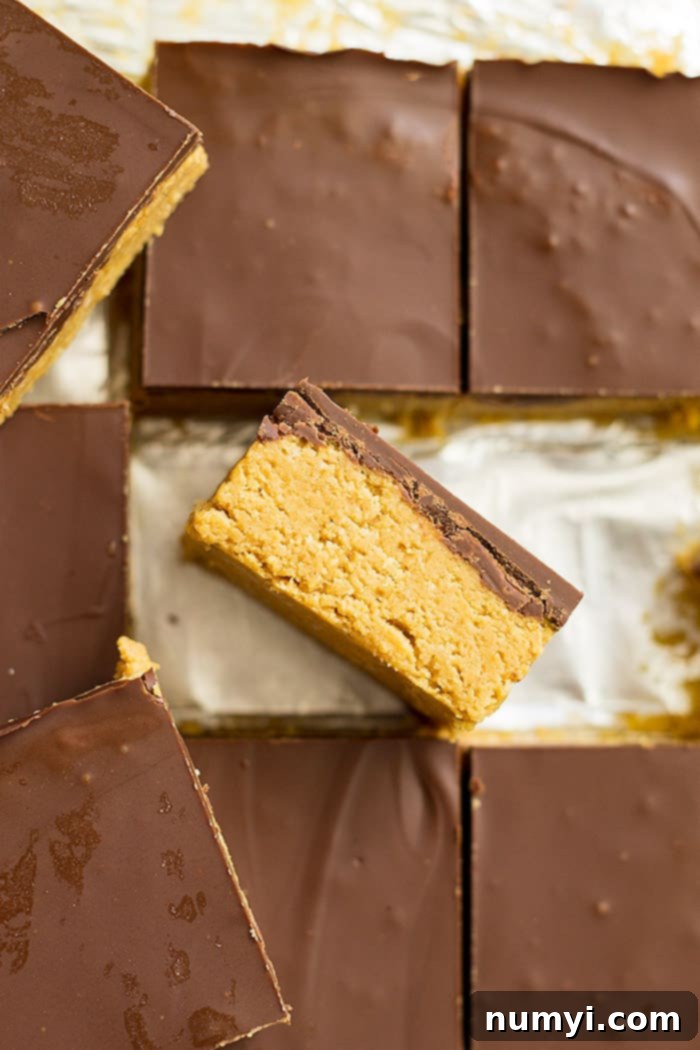 No bake chocolate peanut butter bars cut into squares with one turned on its side. 