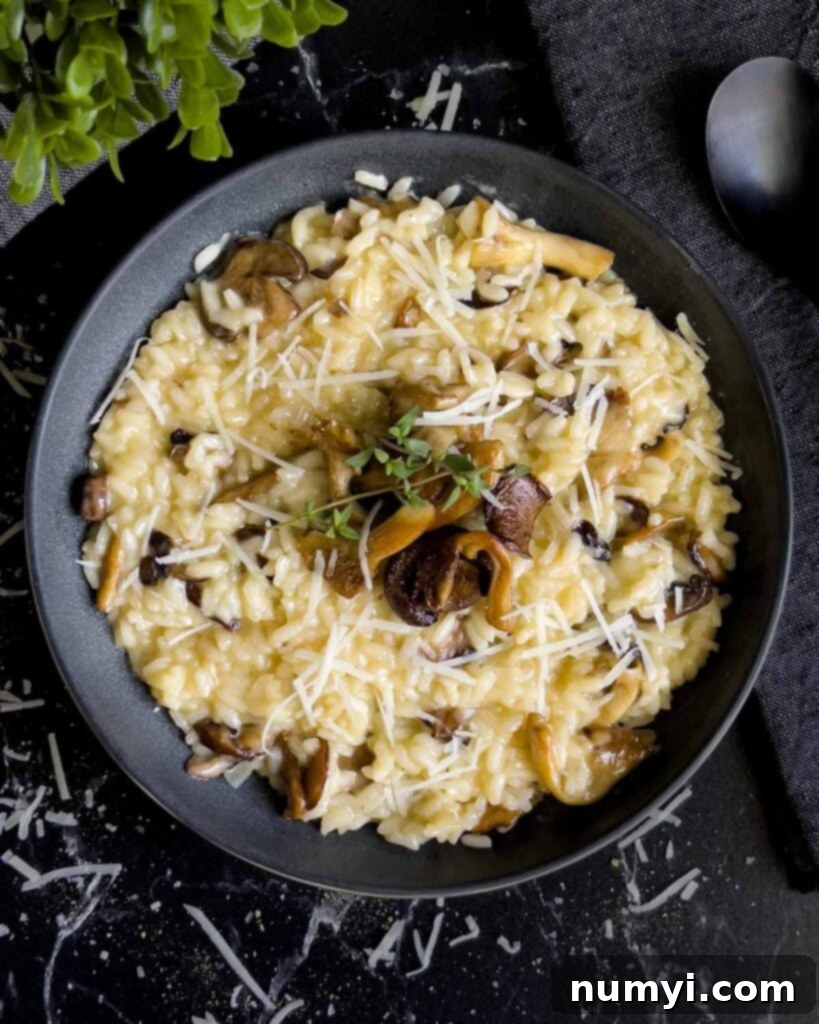 Velvety Mushroom Risotto 2 A dark, elegant bowl filled with creamy mushroom risotto, garnished with fresh herbs.