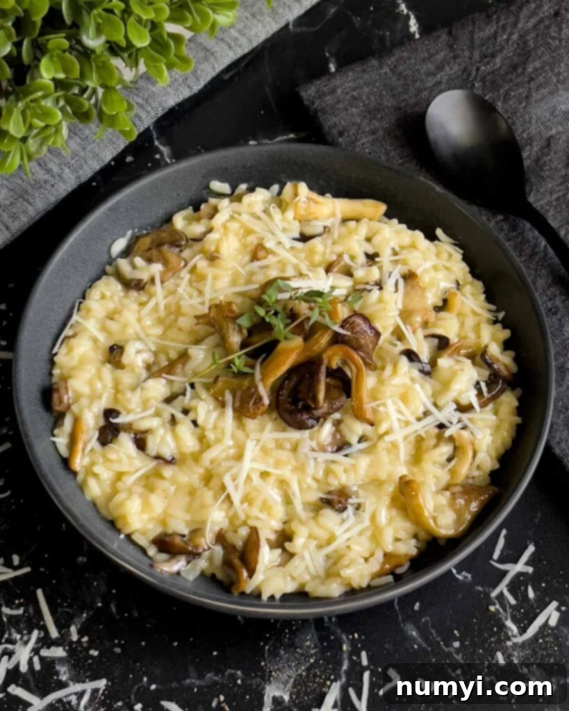 Velvety Mushroom Risotto 18 A final presentation of creamy mushroom risotto in a dark bowl, garnished with extra mushrooms and herbs.