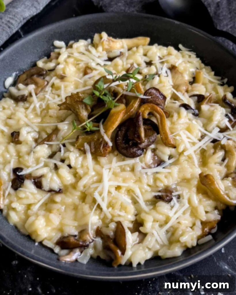 Velvety Mushroom Risotto 3 Close-up of a dark bowl filled with a swirl of rich, creamy mushroom risotto.