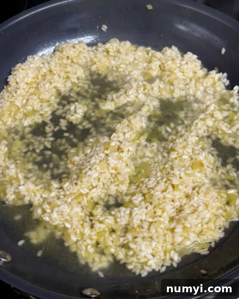 Velvety Mushroom Risotto 9 A ladle of hot chicken stock just added to the simmering risotto rice.