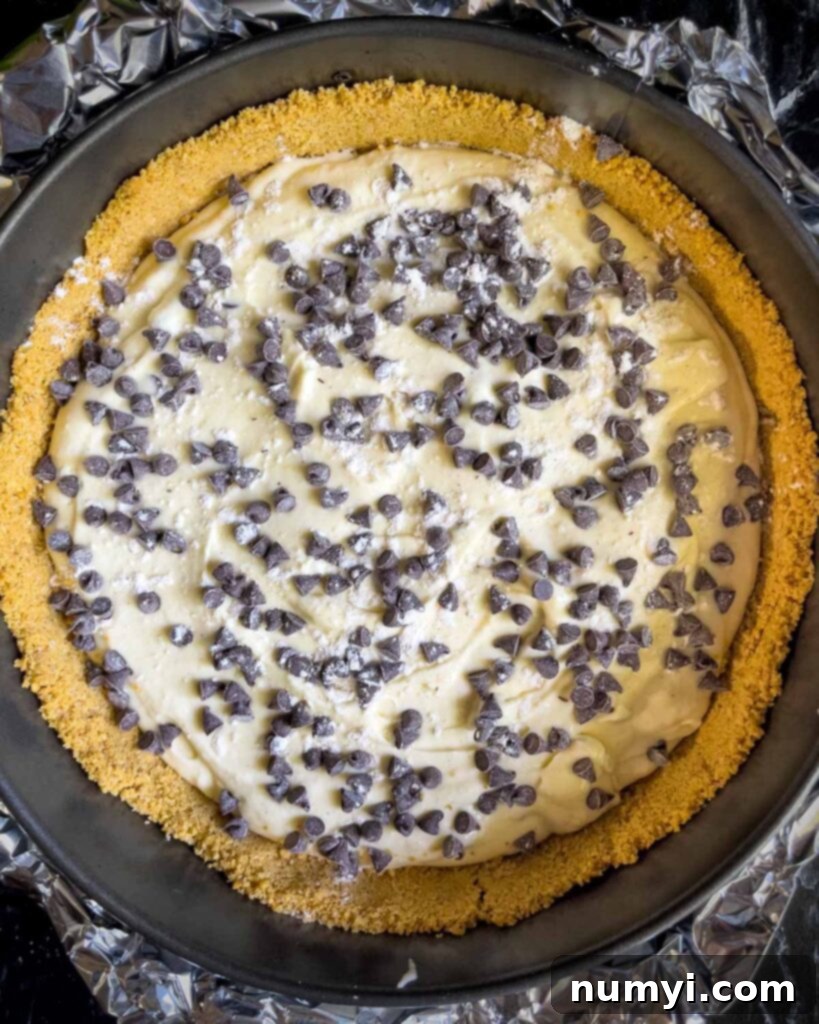 Layers of cannoli cheesecake batter and mini chocolate chips evenly distributed in the springform pan over the baked crust.