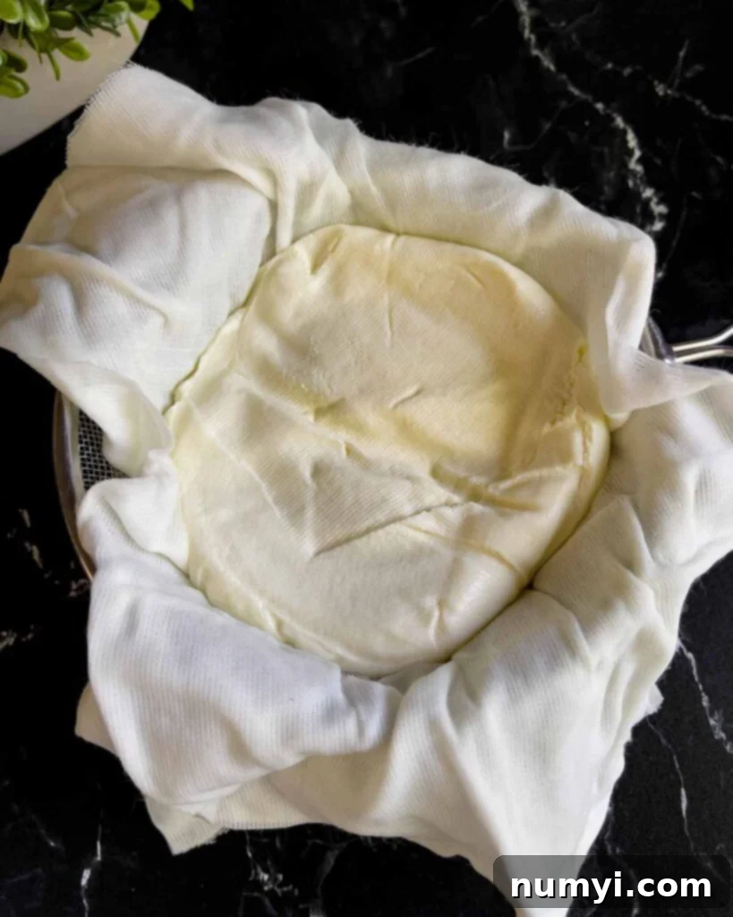 Fully drained ricotta cheese, unwrapped from its cheesecloth in a fine-mesh strainer, ready for use.