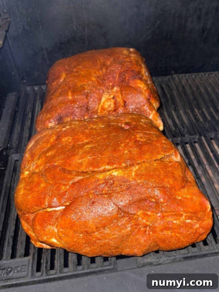 Two pork butts just placed into the smoker.