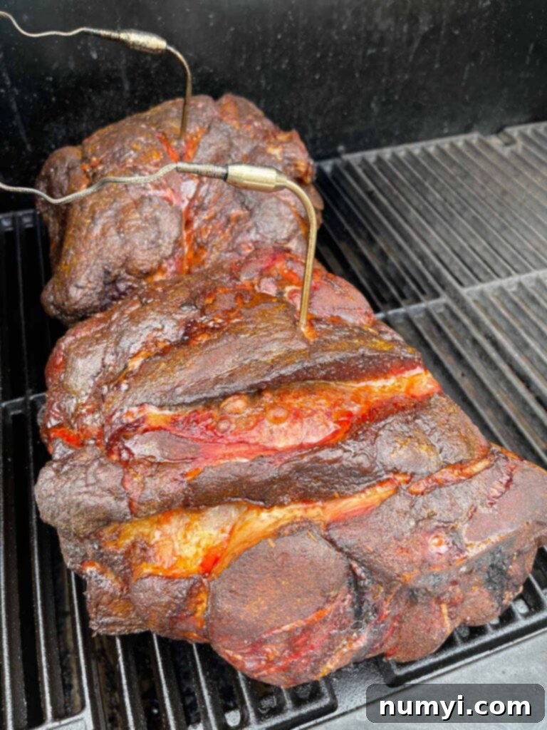 Two smoked pork butts at about 6 hours into the smoking process.