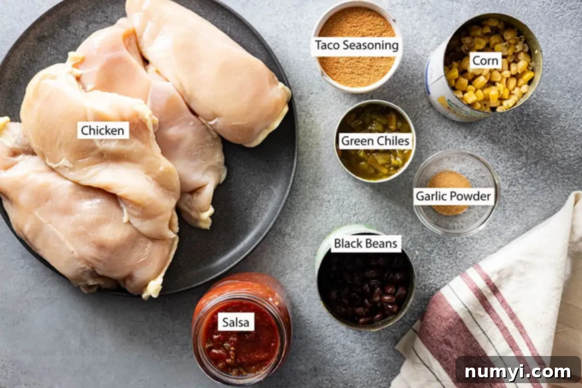 Zesty Slow Cooker Fiesta Chicken 3 Ingredients: chicken, beans, taco seasoning, salsa, corn, green chiles, and garlic powder.