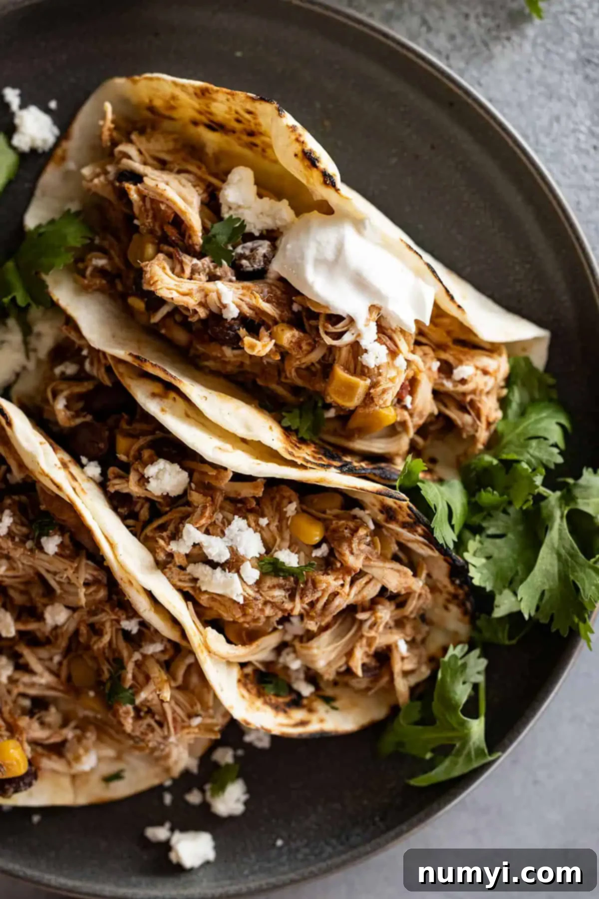 Zesty Slow Cooker Fiesta Chicken 6 Close up of shredded chicken taco meat in corn tortillas.