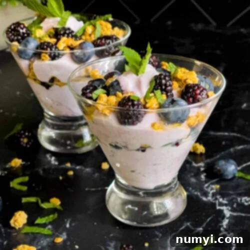 Refreshing Berry Yogurt Parfait 8 Berry yogurt parfait in a stemless martini glass on a dark surface.
