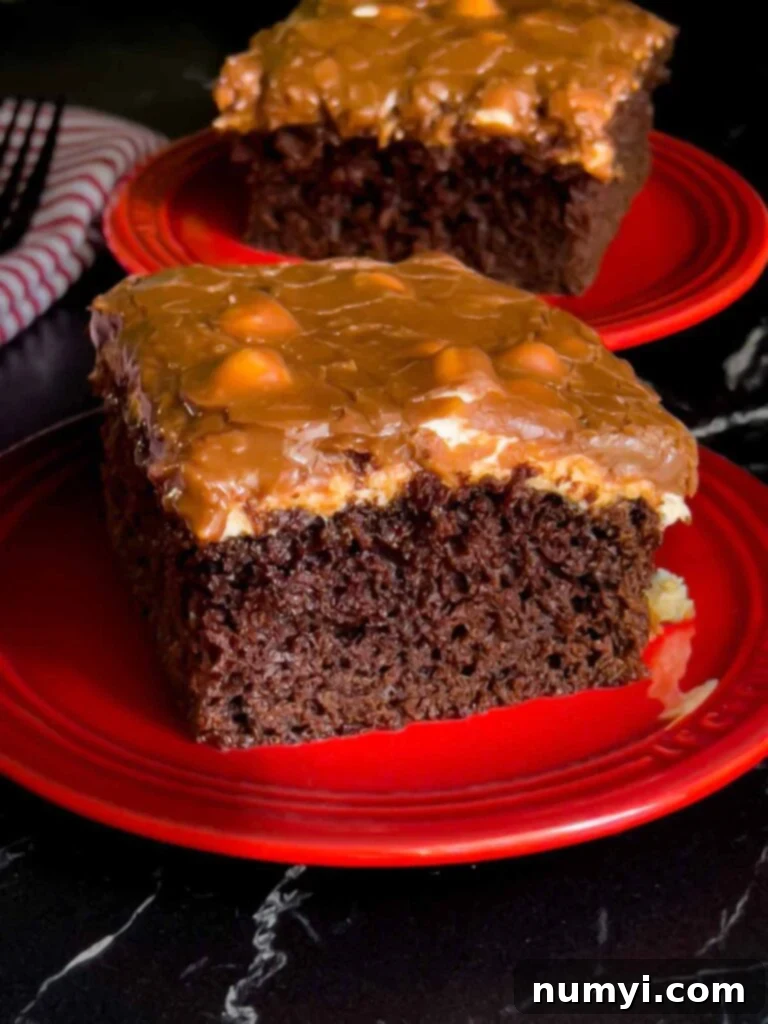 The Easiest Mississippi Mud Cake 2 A slice Mississippi Mud Cake on a plate with another slice in the background.
