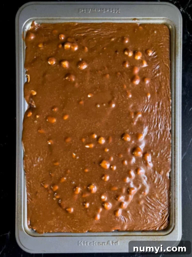 The Easiest Mississippi Mud Cake 14 Mississippi Mud Cake in a metal baking pan.