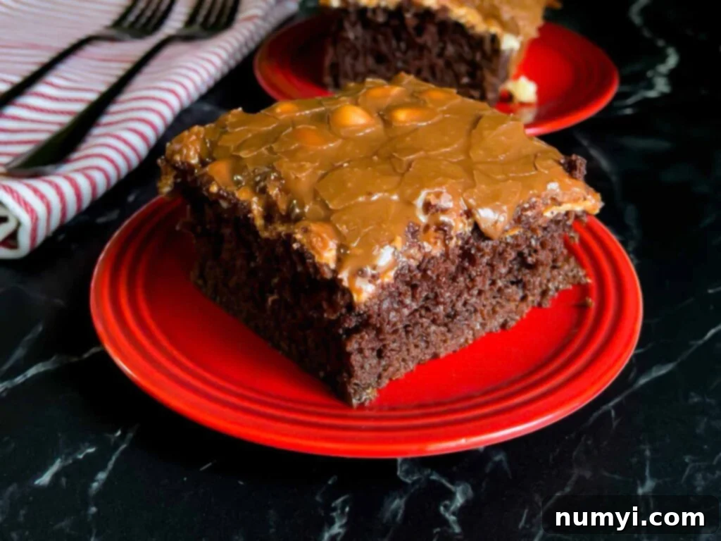 The Easiest Mississippi Mud Cake 15 A slice Mississippi Mud Cake on a plate with another slice in the background.