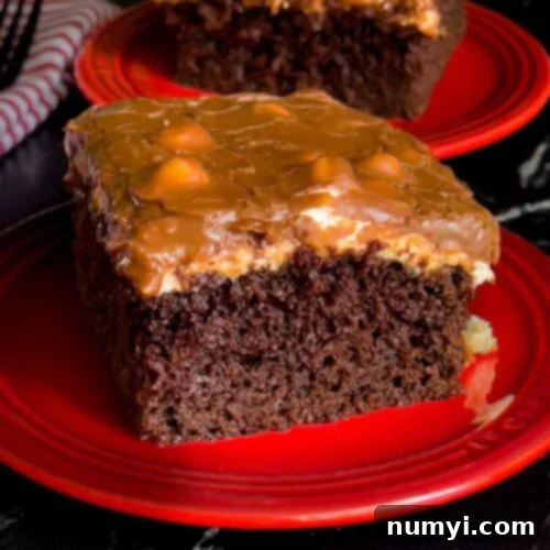 The Easiest Mississippi Mud Cake 16 A slice Mississippi Mud Cake on a plate with another slice in the background.