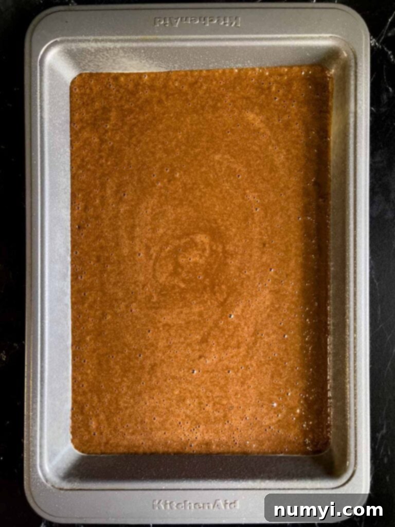 The Easiest Mississippi Mud Cake 10 Mississippi Mud Cake batter in a 9x13 metal baking pan.