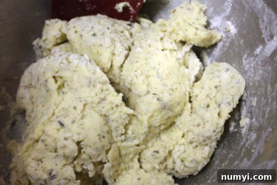 Savory Herb and Cheese Biscotti dough, perfectly combined, in a large mixing bowl.