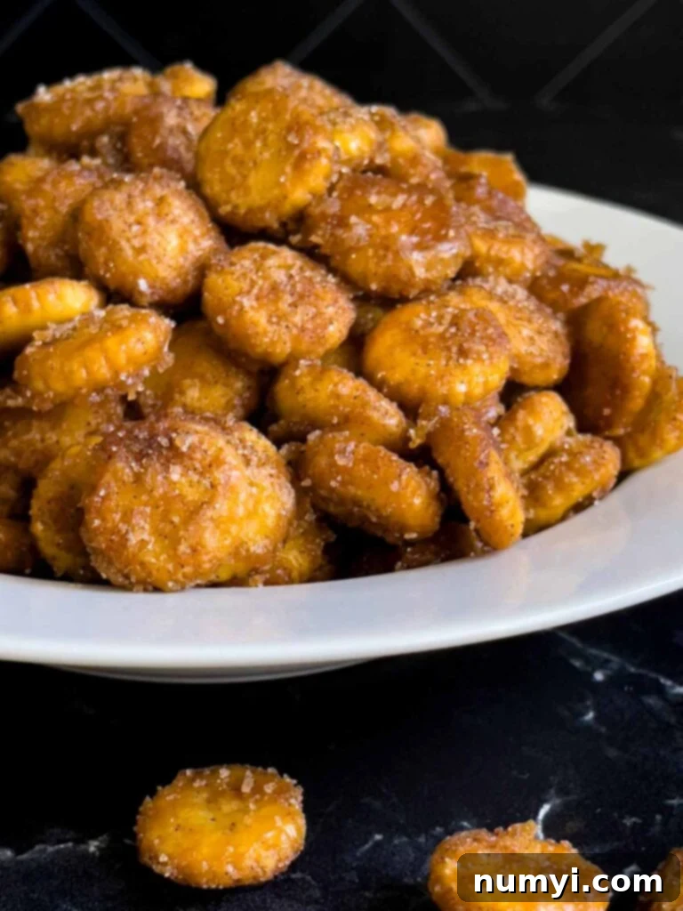 Oyster cracker churro snack mix in a light bowl on a dark surface.