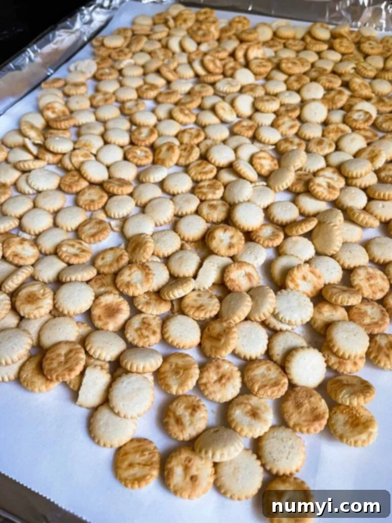 Oyster crackers spread out on a lined baking sheet.