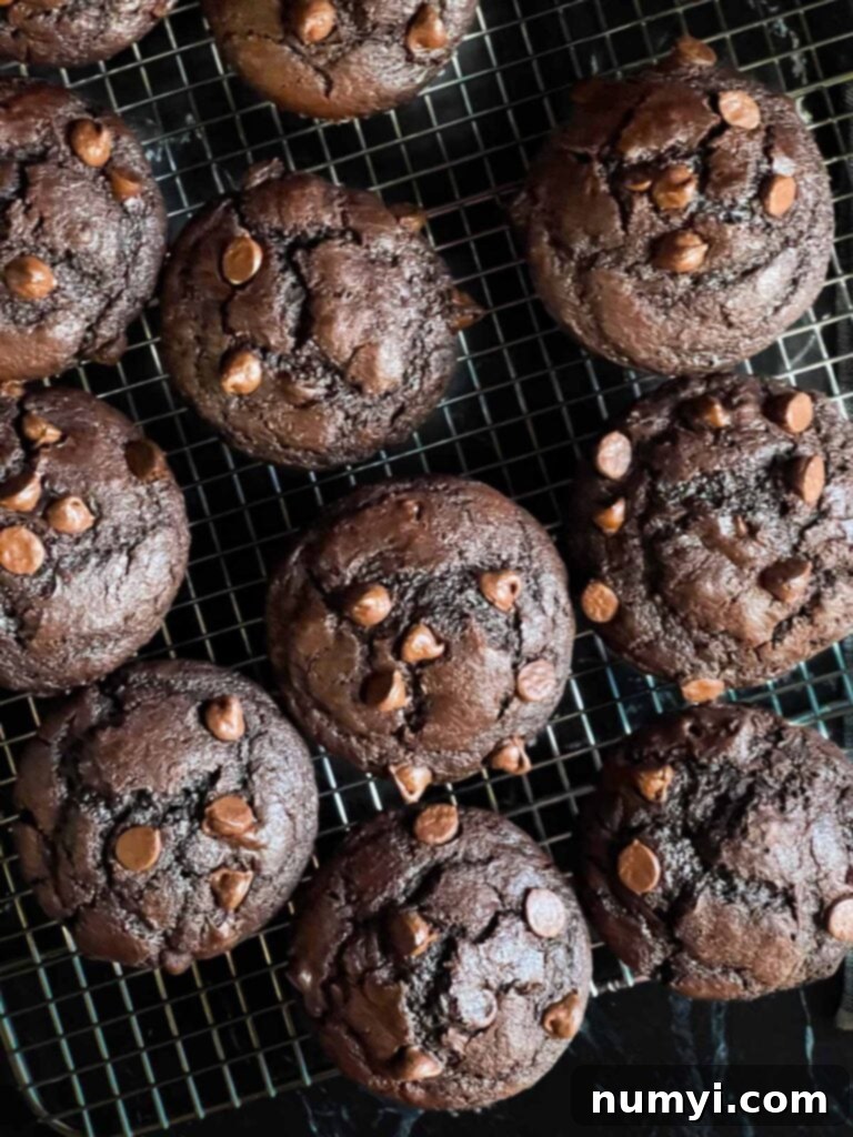 Double chocolate muffins on a cooling rack.