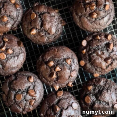 Double chocolate muffins on a cooling rack.