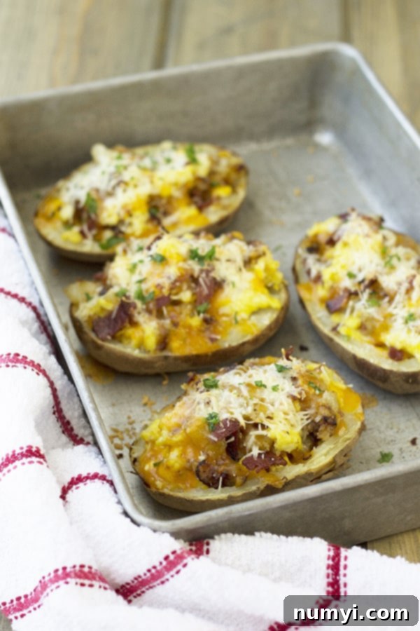 four halves of twice baked breakfast baked potatoes in a baking pan, golden brown and cheesy