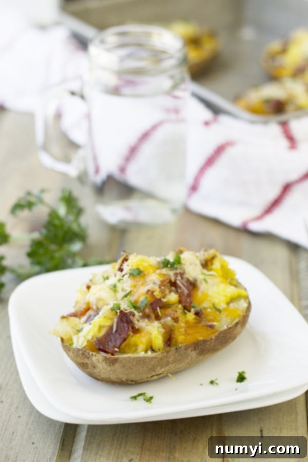 a baked potato half on a white plate made with eggs, bacon, and cheese, garnished with fresh herbs