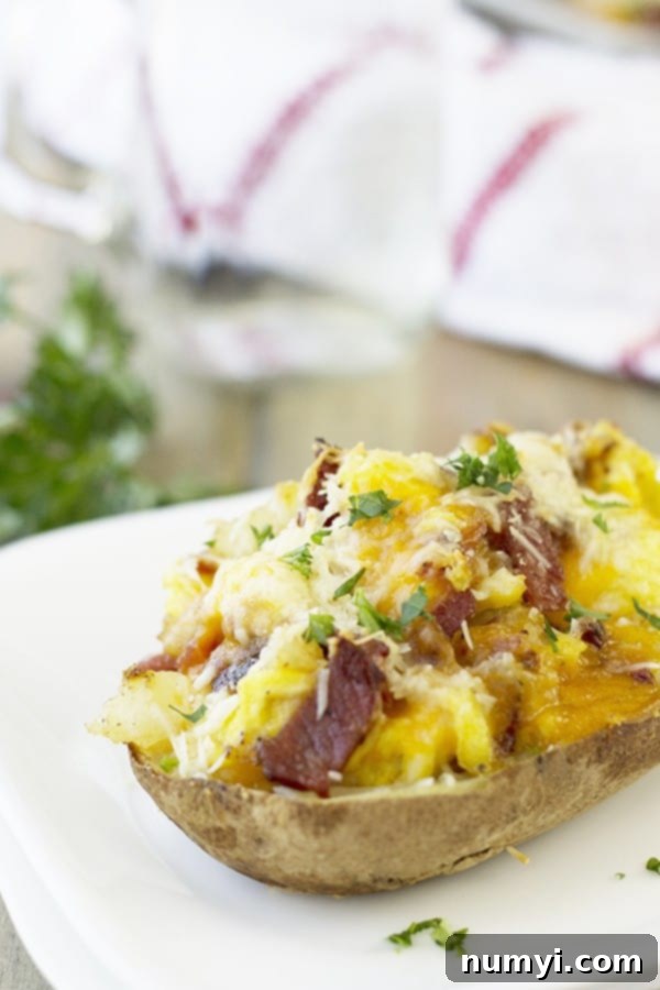 a close up shot of a twice baked breakfast potato with eggs, herbs, and bacon on a white plate, garnished with fresh chives