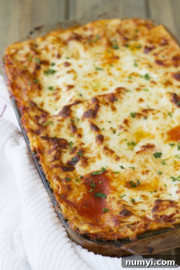 A bubbling hot Five Cheese No-Boil Lasagna, freshly baked in a casserole dish, showing layers of rich meat sauce, melted cheese, and tender pasta. A truly irresistible comfort food.