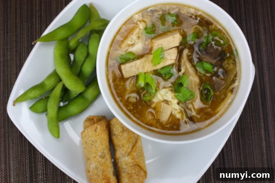 Hot and Sour Soup served with crispy spring rolls and vibrant edamame on a pristine white plate, garnished with fresh green onions.