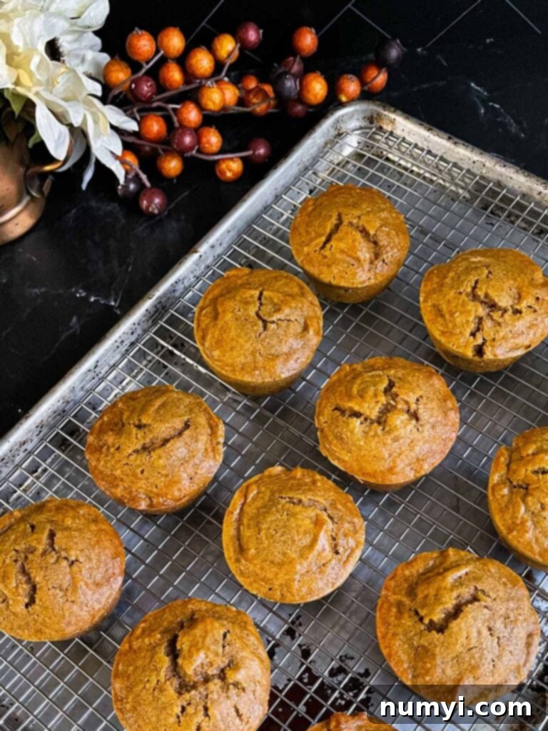 Sweet potato muffins on a wire rack inside a baking sheet on a dark surface.