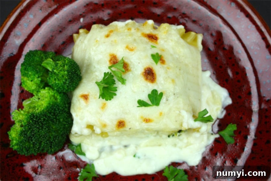 Broccoli Alfredo Lasagna Spirals 3 Lasagna Alfredo with broccoli served on a maroon plate.