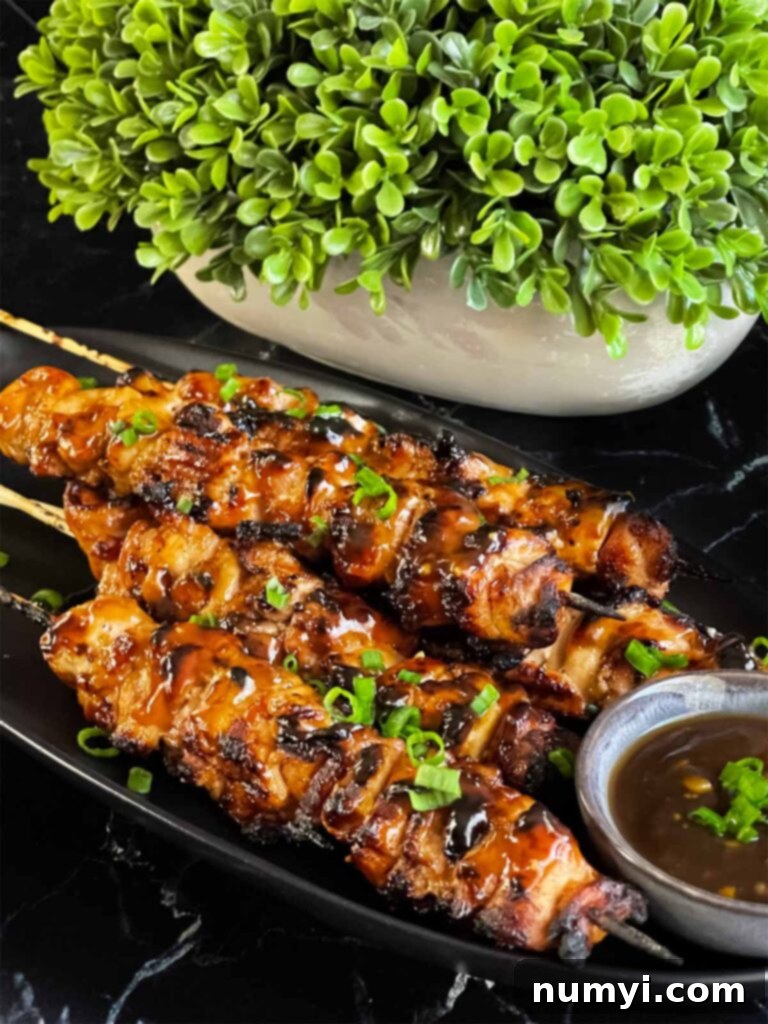 Grilled chicken teriyaki on a dark plate on a dark surface.