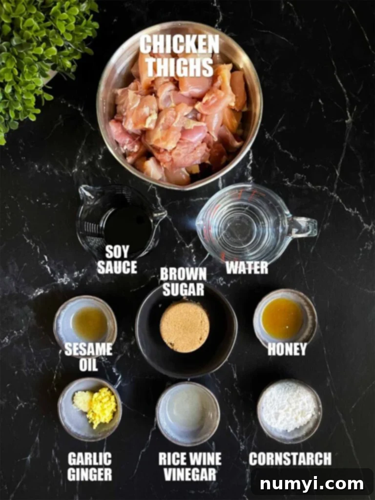 Ingredients needed to make chicken teriyaki on a dark background.