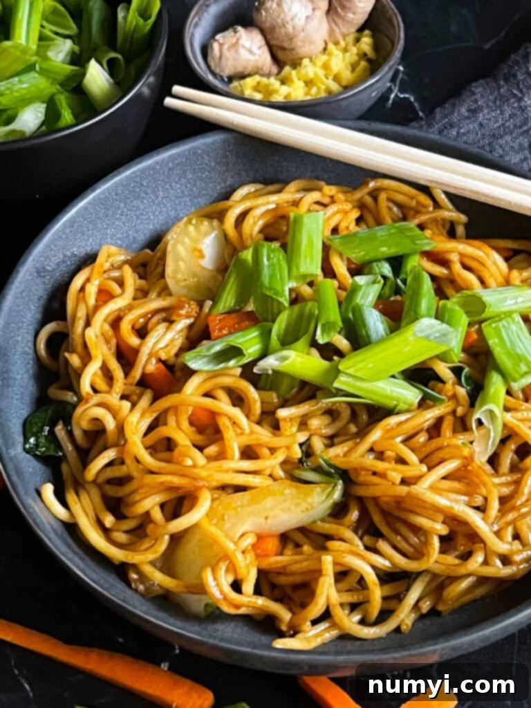 A dark bowl of freshly made Vegetable Lo Mein, beautifully garnished with bright green onions, ready to be enjoyed by the entire family for a delicious and easy weeknight meal.