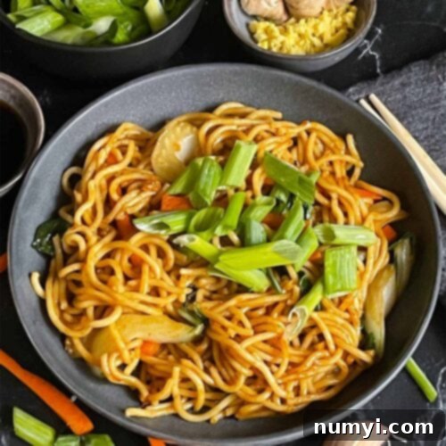 A dark bowl of freshly made Vegetable Lo Mein, beautifully garnished with bright green onions, ready to be enjoyed by the entire family for a delicious and easy weeknight meal.