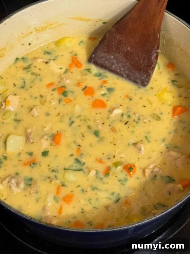 Chicken stew cooking in a dutch oven.