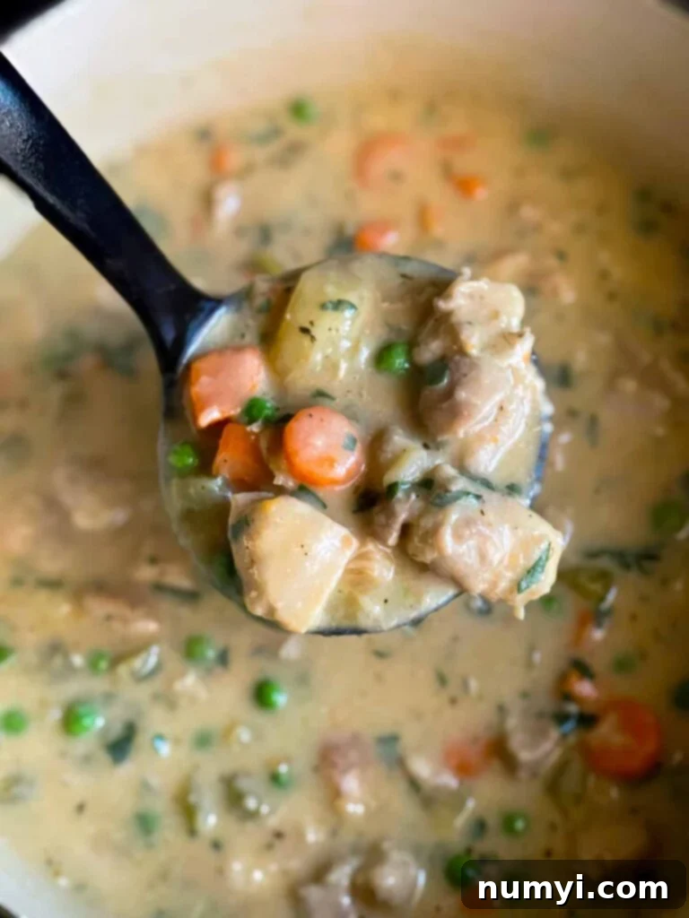 A ladle full of chicken stew, ready to serve.