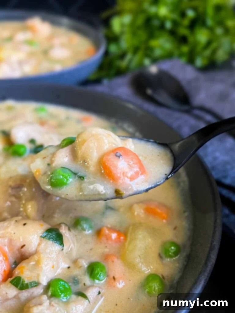 A spoonful of chicken stew with vegetables.