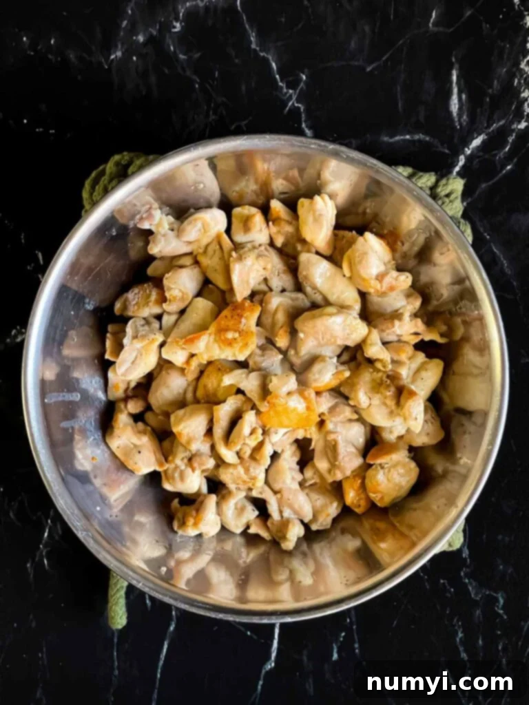Browned chicken in a stainless steel bowl.