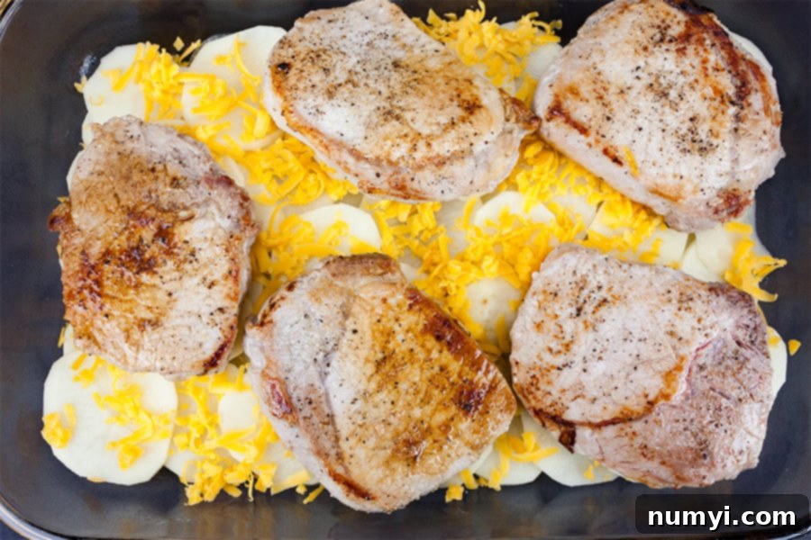 Homestyle Smothered Pork Chops and Potatoes 3 Smothered Pork Chops and Potatoes - sliced potatoes, shredded cheese, and pork chops in a baking dish