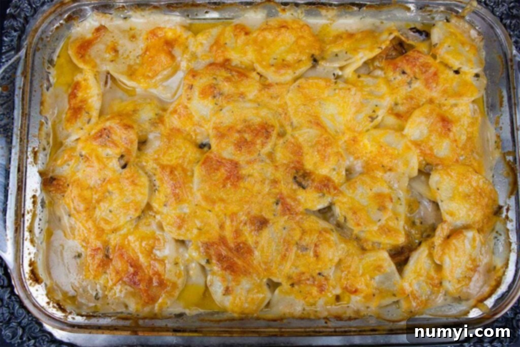 Homestyle Smothered Pork Chops and Potatoes 5 Smothered porkchops with potatoes in a glass cooking dish, bubbling with cheesy sauce.