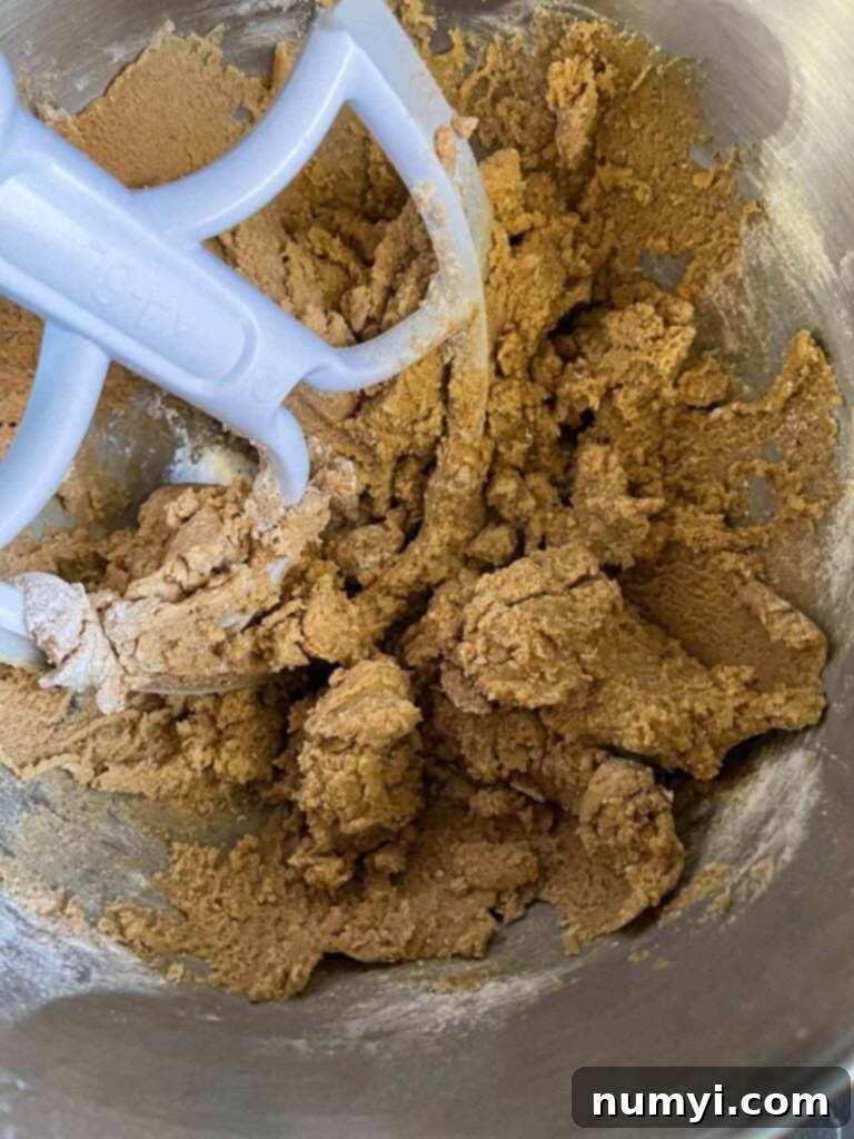Cozy Chai Sugar Cookies 7 Dry ingredients perfectly mixed into the wet ingredients for chai sugar cookies in a metal bowl, forming a cohesive dough.
