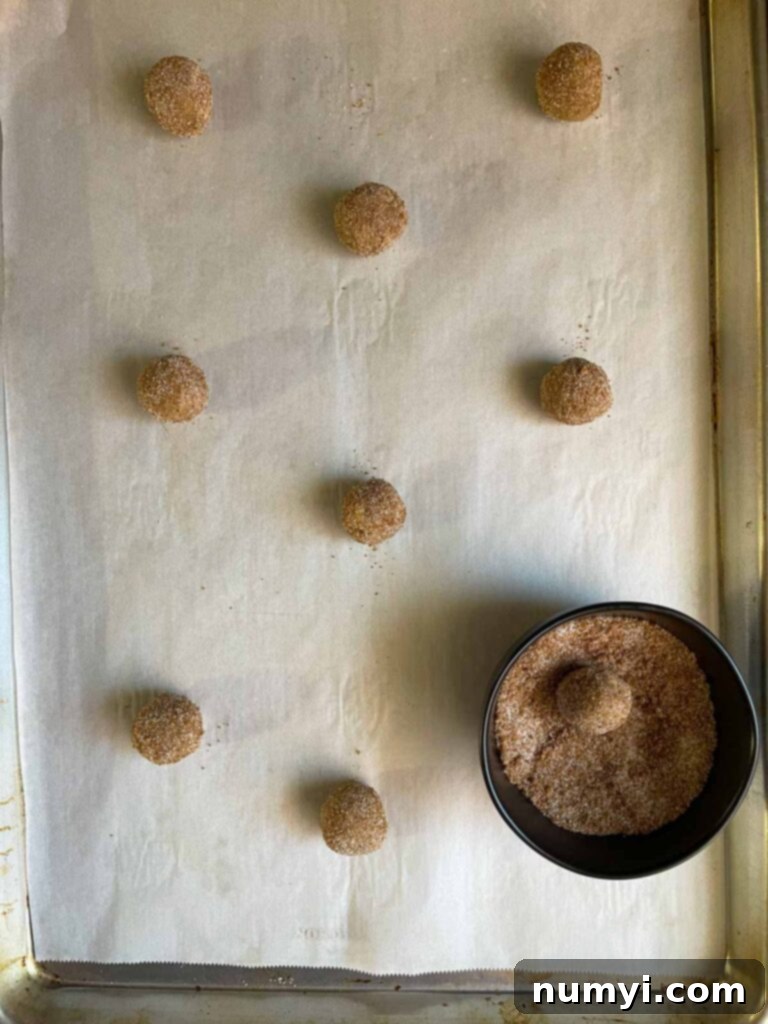 Cozy Chai Sugar Cookies 8 Chai sugar cookie dough balls rolled in chai sugar, neatly arranged on a parchment-lined baking sheet, ready for the oven.