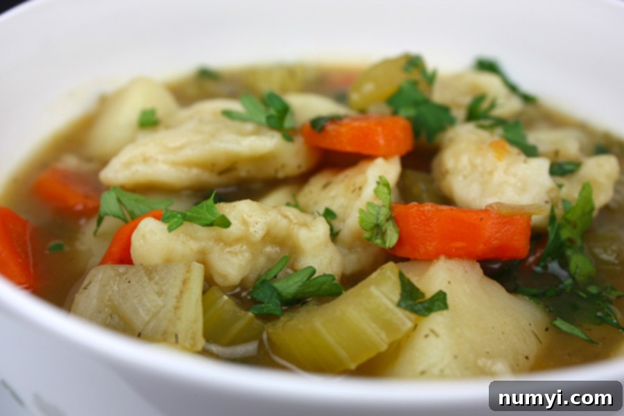 A freshly cooked bowl of wholesome vegetable dumpling soup, rich with tender dumplings and bright vegetables, invitingly ready to be served.