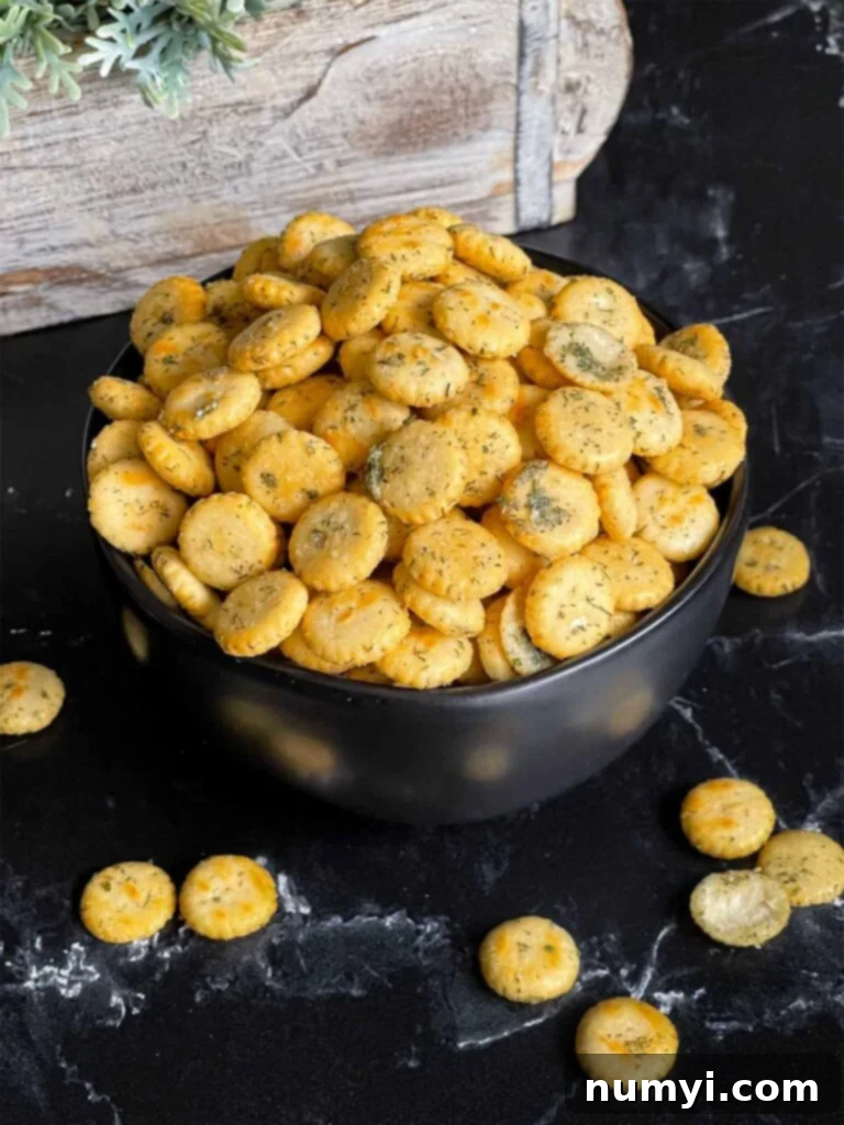 Finished dill oyster crackers beautifully presented in a dark bowl on a matching dark surface.