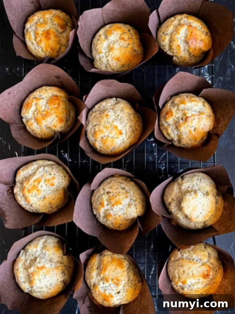 Baked lemon poppy seed muffins in a paper liners on a wire rack.